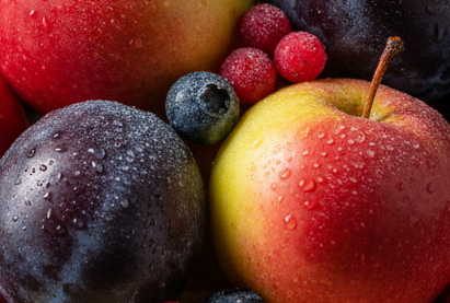 Exclusive: New frost-resistant varieties from Latvia | Announcement