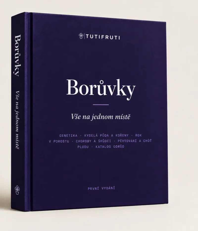 Čučoriedky – Všetko na jednom mieste (E-kniha PDF) - Česky