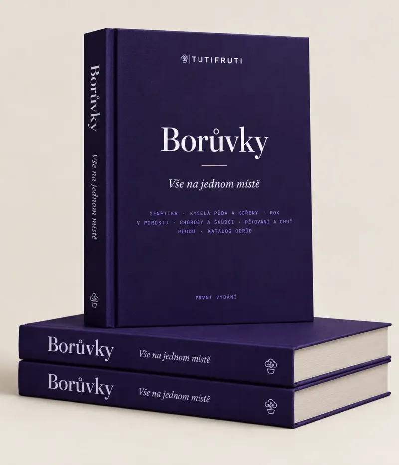Čučoriedky – Všetko na jednom mieste (E-kniha PDF) - Česky
