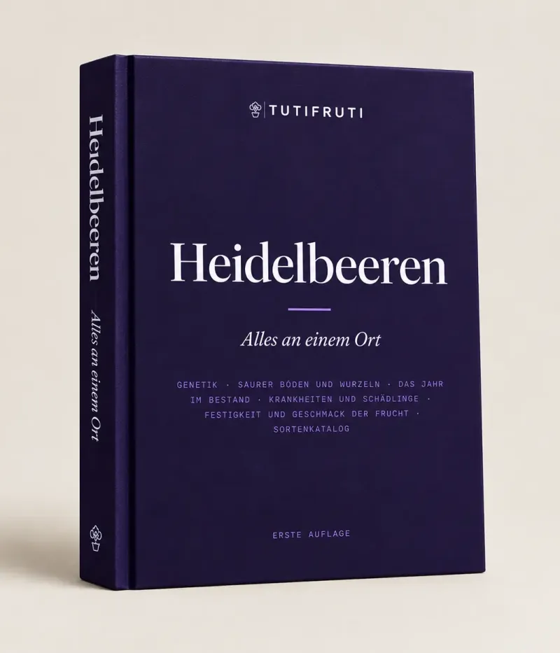 Heidelbeeren - Alles an einem Ort (E-book PDF) - Deutsch
