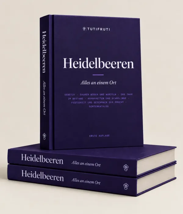 Heidelbeeren - Alles an einem Ort (E-book PDF) - Deutsch