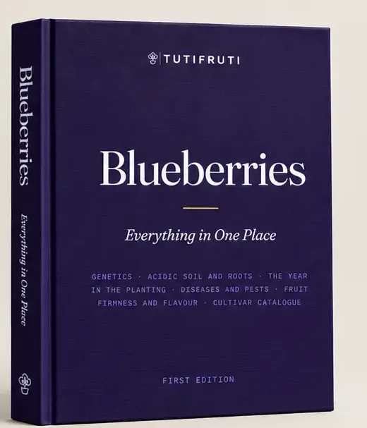 Heidelbeeren - Alles an einem Ort (E-book PDF) - Englisch
