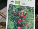 BIO Columnar apple tree AROMA SPUR BLACK MC INTOSH - Tutifruti SK