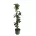 Columnar fruit trees