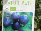 BIO säulenförmige (Prunus domestica) Pflaume AROMA SPUR (spät reifend) - Tutifruti SK